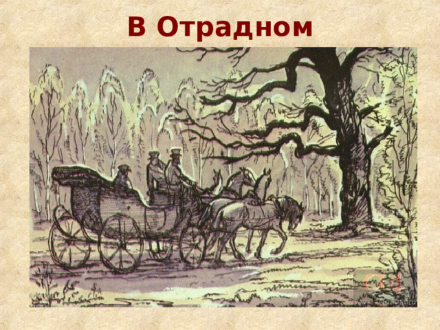 В Отрадном 
