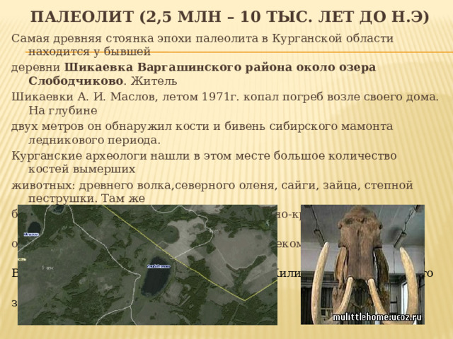 Палеолит (2,5 млн – 10 тыс. лет до н.э) Самая древняя стоянка эпохи палеолита в Курганской области находится у бывшей деревни Шикаевка Варгашинского района около озера Слободчиково . Житель Шикаевки А. И. Маслов, летом 1971г. копал погреб возле своего дома. На глубине двух метров он обнаружил кости и бивень сибирского мамонта ледникового периода. Курганские археологи нашли в этом месте большое количество костей вымерших животных: древнего волка,северного оленя, сайги, зайца, степной пеструшки. Там же были обнаружены изделия из камня и зелено-красной яшмы. Это были каменные орудия, изготовленные первобытным человеком: кремневые ножевидные пластики. Возраст стоянки — более 11 тысяч лет . Жилища того времени - это полуземлянки и землянки, население занималось  охотой. 