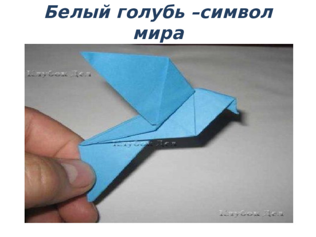 Белый голубь –символ мира    /   