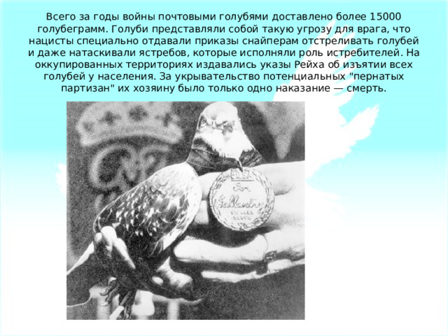 Всего за годы войны почтовыми голубями доставлено более 15000 голубеграмм. Голуби представляли собой такую угрозу для врага, что нацисты специально отдавали приказы снайперам отстреливать голубей и даже натаскивали ястребов, которые исполняли роль истребителей. На оккупированных территориях издавались указы Рейха об изъятии всех голубей у населения. За укрывательство потенциальных 