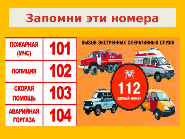 Запомни эти номера 