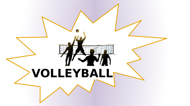 VOLLEYBALL 