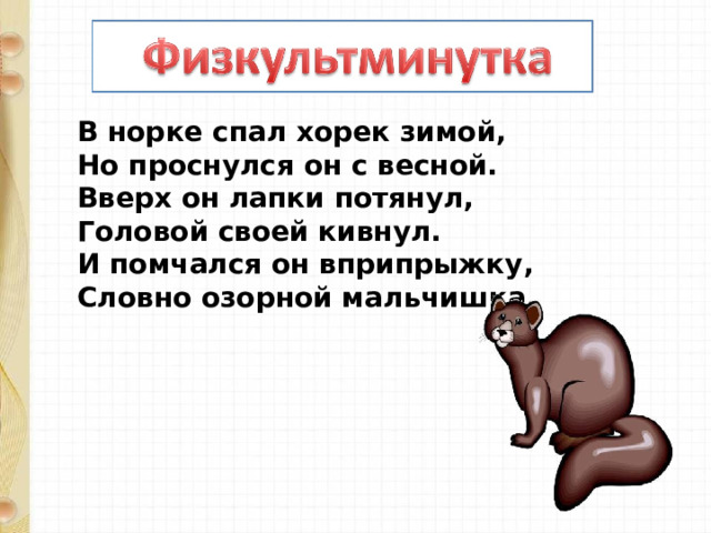 В норке спал хорек зимой,  Но проснулся он с весной.  Вверх он лапки потянул,  Головой своей кивнул.  И помчался он вприпрыжку,  Словно озорной мальчишка. 