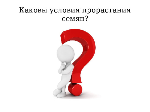 Каковы условия прорастания семян? 