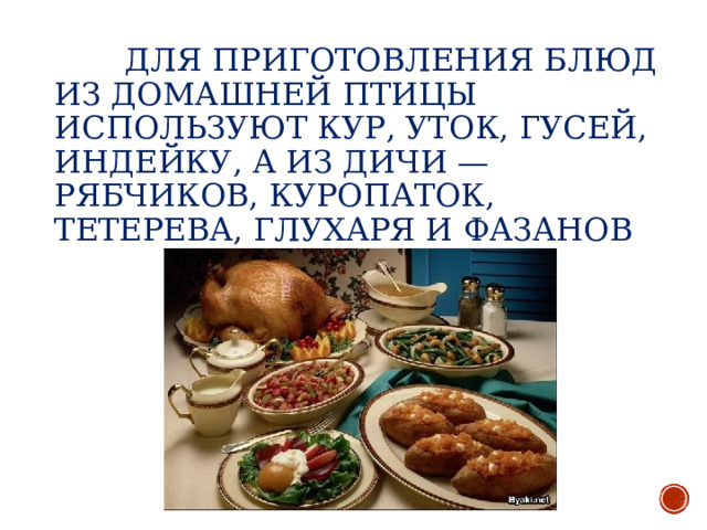  ДЛЯ ПРИГОТОВЛЕНИЯ БЛЮД ИЗ ДОМАШНЕЙ ПТИЦЫ ИСПОЛЬЗУЮТ КУР, УТОК, ГУСЕЙ, ИНДЕЙКУ, А ИЗ ДИЧИ — РЯБЧИКОВ, КУРОПАТОК, ТЕТЕРЕВА, ГЛУХАРЯ И ФАЗАНОВ 