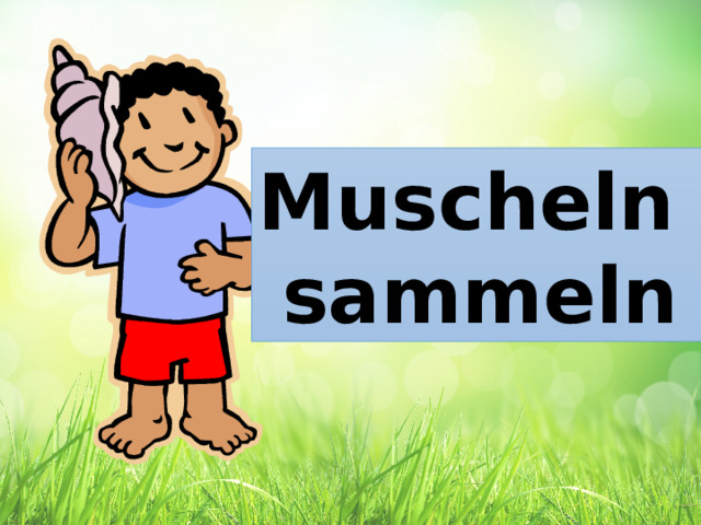 Muscheln sammeln 