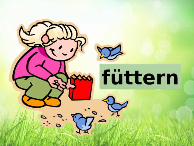 füttern 
