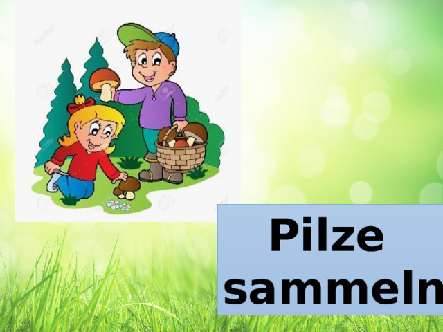 Pilze sammeln 