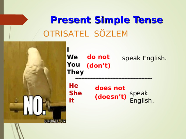 Present Simple  Tense OTRISATEL SÖZLEM I We You They do not speak English. (don’t) He She It does not speak English. (doesn’t) 