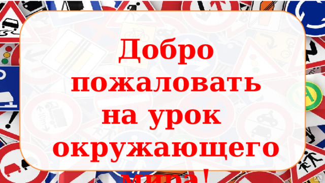 Добро пожаловать на урок окружающего мира! 