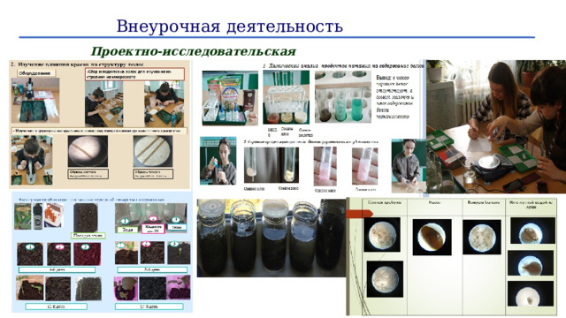 Внеурочная деятельность Проектно-исследовательская деятельность 