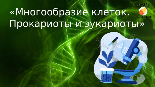 «Многообразие клеток. Прокариоты и эукариоты» 