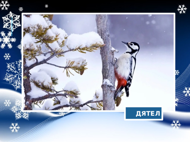  ДЯТЕЛ 