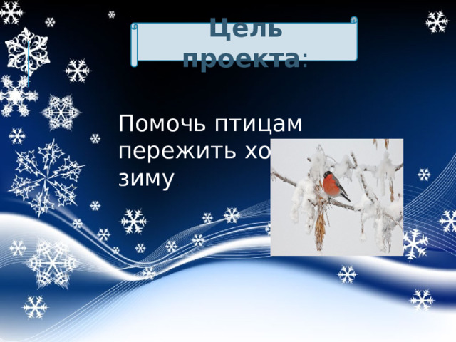  Цель проекта : Помочь птицам пережить холодную зиму . 
