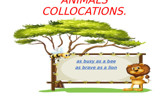 ANIMALS COLLOCATIONS. as busy as a bee as brave as a lion 