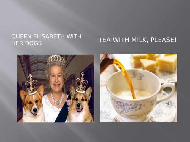Queen Elisabeth with her dogs Tea with milk, please! 