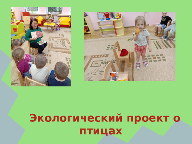  Экологический проект о птицах 