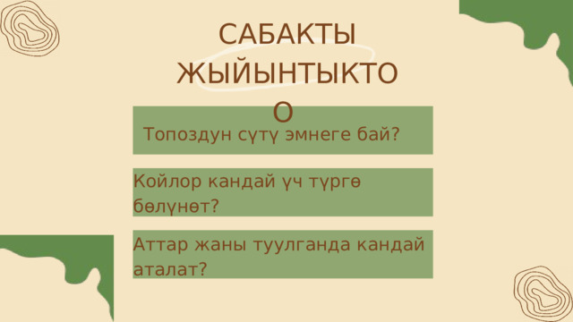 САБАКТЫ ЖЫЙЫНТЫКТОО Топоздун сүтү эмнеге бай? Койлор кандай үч түргө бөлүнөт? Аттар жаны туулганда кандай аталат? 