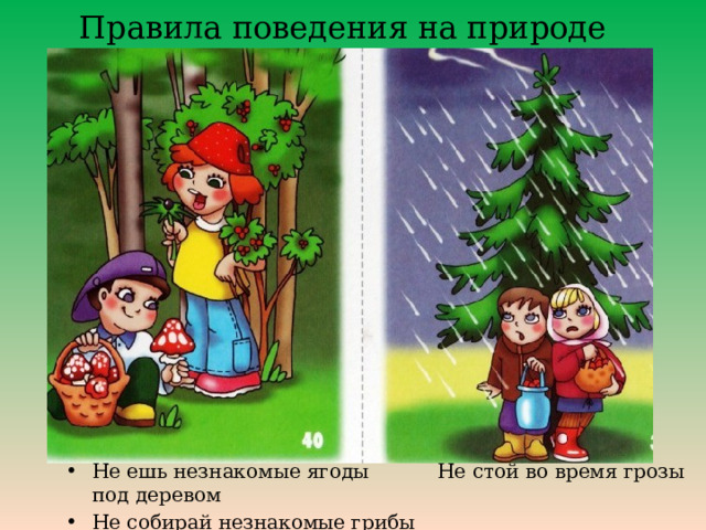 Правила поведения на природе Не ешь незнакомые ягоды Не стой во время грозы под деревом Не собирай незнакомые грибы 