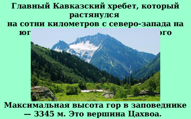 Главный Кавказский хребет, который растянулся на сотни километров с северо-запада на юго-восток, — сердце Кавказского заповедника. Максимальная высота гор в заповеднике — 3345 м. Это вершина Цахвоа.   
