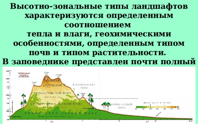 Высотно-зональные типы ландшафтов характеризуются определенным соотношением тепла и влаги, геохимическими особенностями, определенным типом почв и типом растительности. В заповеднике представлен почти полный профиль высотных природных ландшафтов, характерных для Западного Кавказа. 
