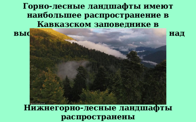 Горно-лесные ландшафты имеют наибольшее распространение в Кавказском заповеднике в  высотном диапазоне 200—1 800 м над уровнем моря. Нижнегорно-лесные ландшафты  распространены до 1 100 метров 