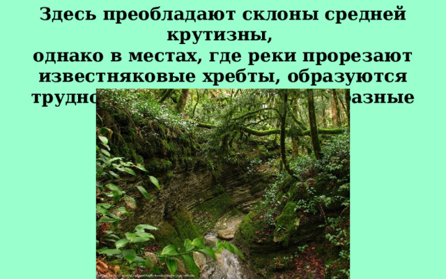 Здесь преобладают склоны средней крутизны, однако в местах, где реки прорезают известняковые хребты, образуются труднопроходимые каньонообразные ущелья. 