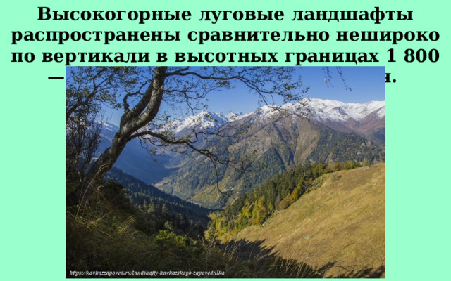 Высокогорные луговые ландшафты распространены сравнительно нешироко по вертикали в высотных границах 1 800—3 000 метров над уровнем моря. 