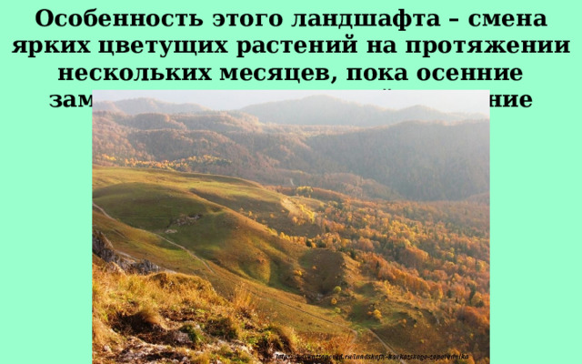 Особенность этого ландшафта – смена ярких цветущих растений на протяжении нескольких месяцев, пока осенние заморозки не окрасят всё в осенние оттенки. 