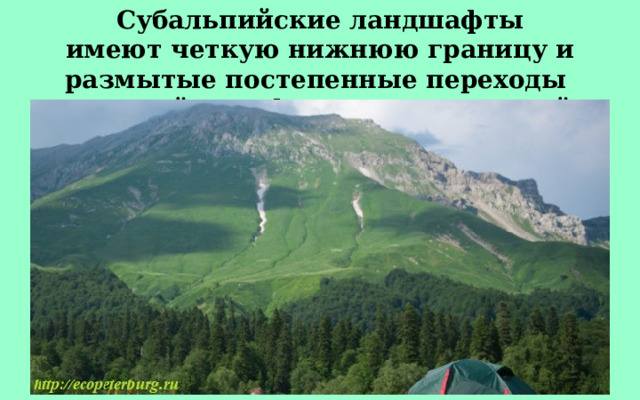 Субальпийские ландшафты имеют четкую нижнюю границу и размытые постепенные переходы в альпийские формы высокогорий. 