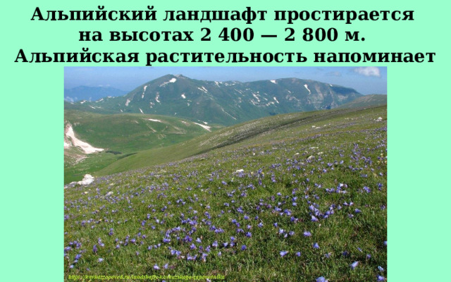 Альпийский ландшафт простирается на высотах 2 400 — 2 800 м. Альпийская растительность напоминает тундру. 