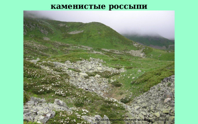 каменистые россыпи 