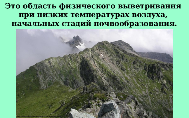 Это область физического выветривания при низких температурах воздуха, начальных стадий почвообразования. 