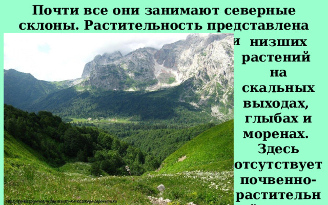 Почти все они занимают северные склоны. Растительность представлена отдельными видами низших растений на скальных выходах, глыбах и моренах. Здесь отсутствует почвенно-растительный покров.  