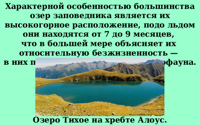 Характерной особенностью большинства озер заповедника является их высокогорное расположение, подо льдом они находятся от 7 до 9 месяцев, что в большей мере объясняет их относительную безжизненность — в них полностью отсутствует ихтиофауна. Озеро Тихое на хребте Алоус. 