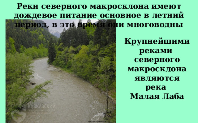Реки северного макросклона имеют дождевое питание основное в летний период, в это время они многоводны Крупнейшими реками северного макросклона являются река Малая Лаба 