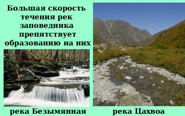 Большая скорость течения рек заповедника препятствует образованию на них льда. река Безымянная река Цахвоа 