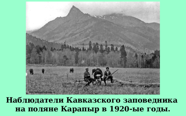 Наблюдатели Кавказского заповедника на поляне Карапыр в 1920-ые годы. . 