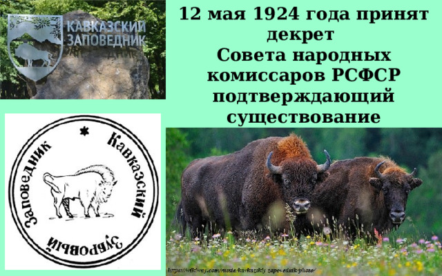12 мая 1924 года принят декрет Совета народных комиссаров РСФСР подтверждающий существование заповедника, названного «Кавказским зубровым заповедником». 
