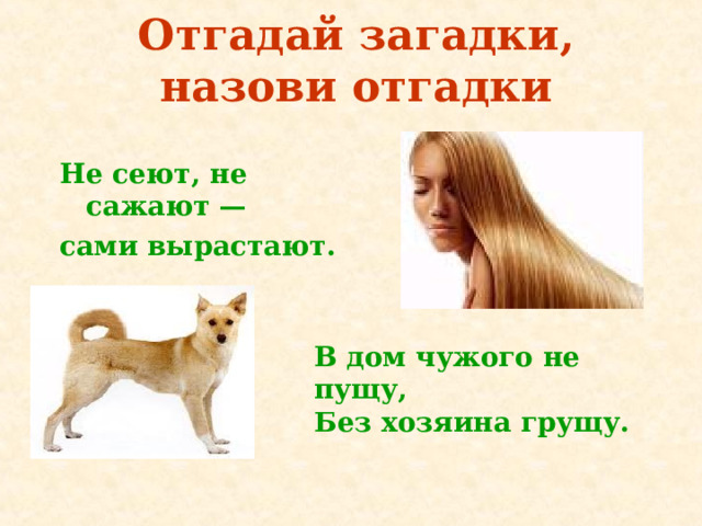 Отгадай загадки, назови отгадки Не сеют, не сажают — сами вырастают. В дом чужого не пущу, Без хозяина грущу. 