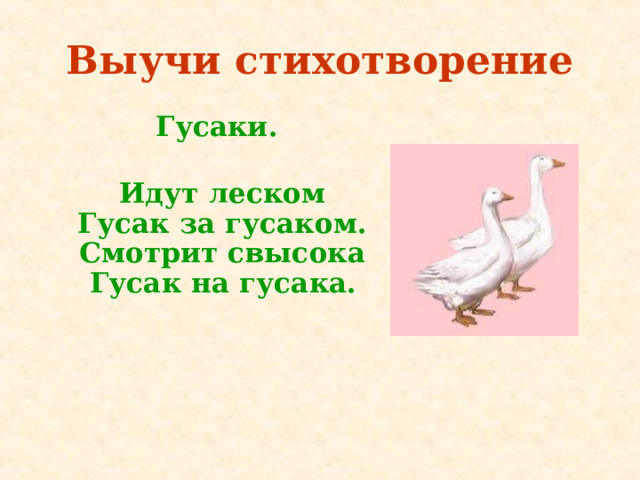 Выучи стихотворение   Гусаки.  Идут леском  Гусак за гусаком.  Смотрит свысока  Гусак на гусака.  