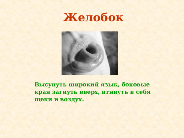 Желобок Высунуть широкий язык, боковые края загнуть вверх, втянуть в себя щеки и воздух.   
