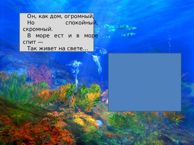 Он, как дом, огромный, Но спокойный, скромный. В море ест и в море спит — Так живет на свете...   
