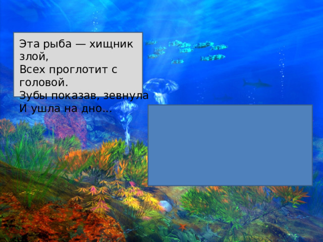 Эта рыба — хищник злой, Всех проглотит с головой. Зубы показав, зевнула И ушла на дно... 