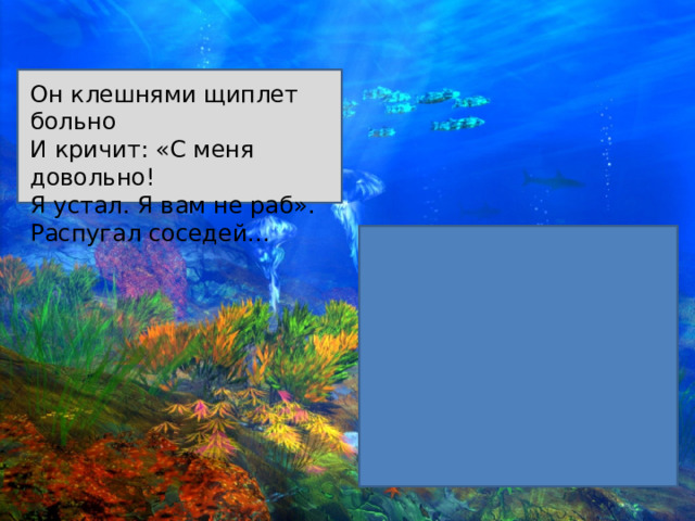 Он клешнями щиплет больно И кричит: «С меня довольно! Я устал. Я вам не раб». Распугал соседей... 
