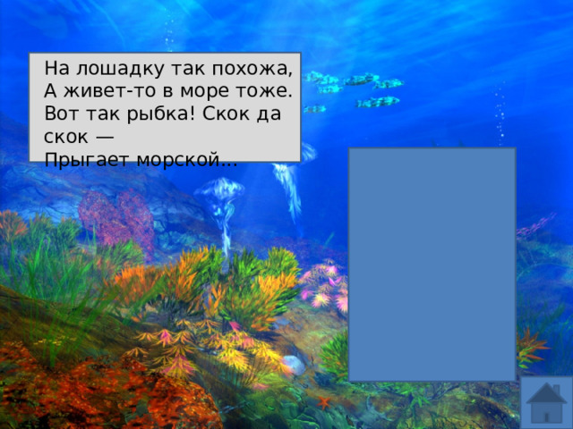 На лошадку так похожа, А живет-то в море тоже. Вот так рыбка! Скок да скок — Прыгает морской... 