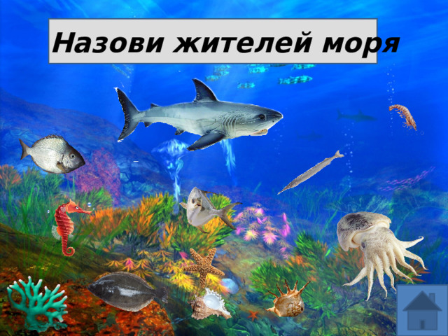 Назови жителей моря 