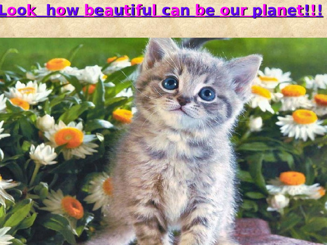 L o o k  h o w b e a u t i f u l c a n b e o u r p l a n e t ! ! ! 