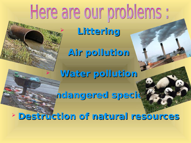 Littering  Air pollution  Water pollution  Endangered species  Destruction of natural resources 