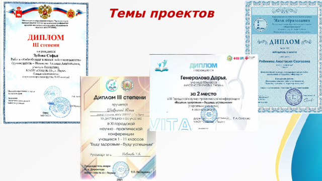 Темы проектов 
